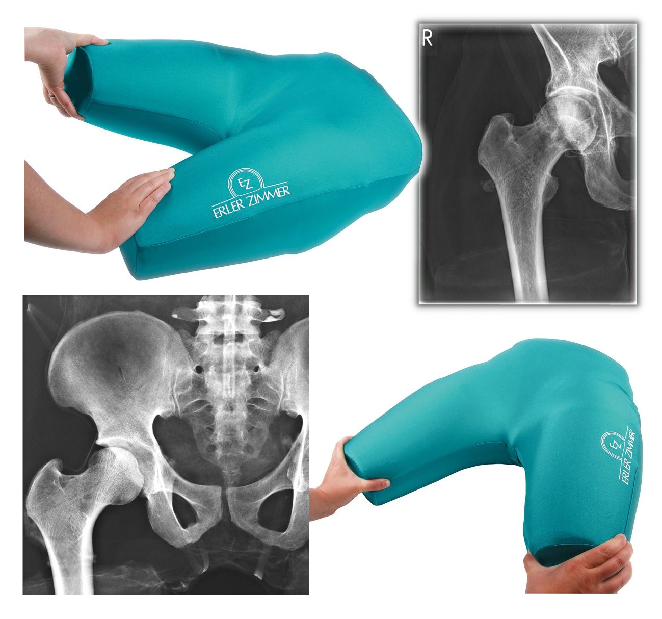 Maqueta de pelvis para prácticas de diagnóstico con RX EZ 7410
