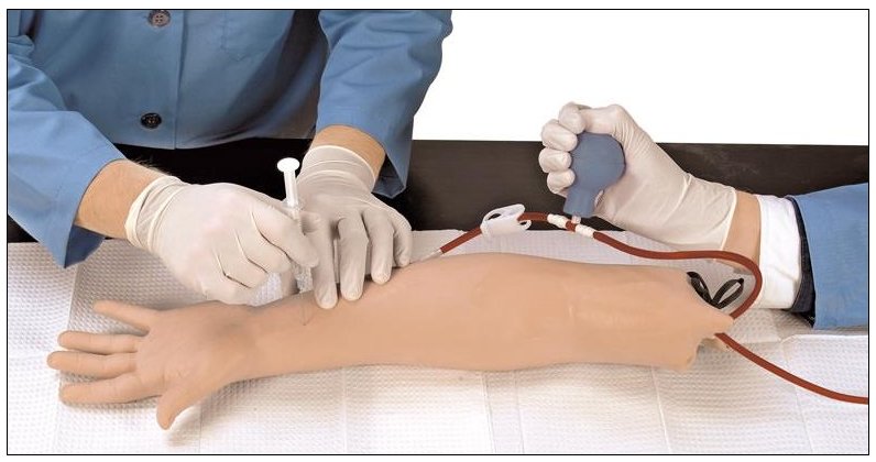 Brazo para prácticas de punción arterial EZ R10011