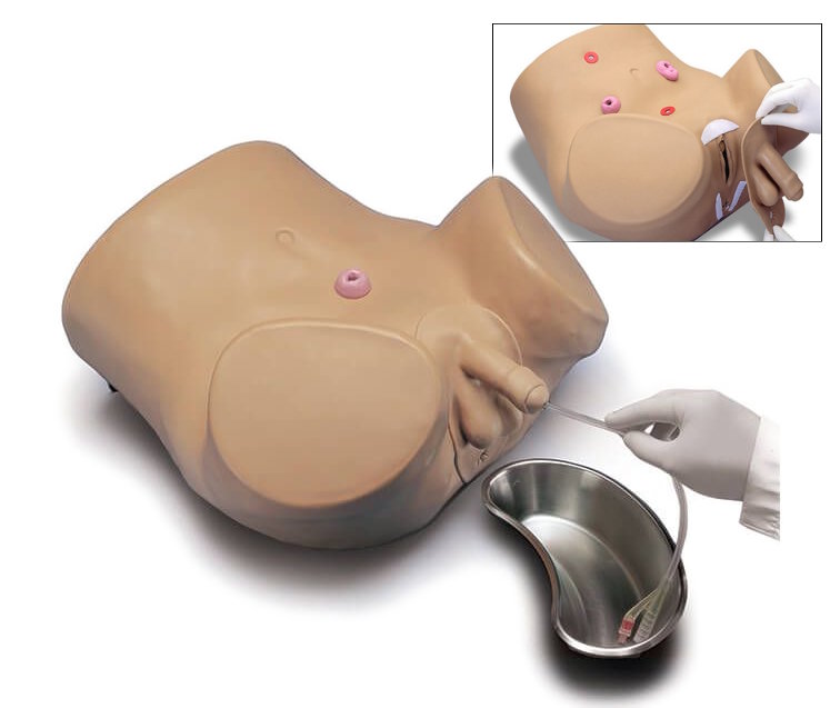 Simulador para practicar cateterismos en hombres y mujeres, enema y cuidados del ostoma S230.10