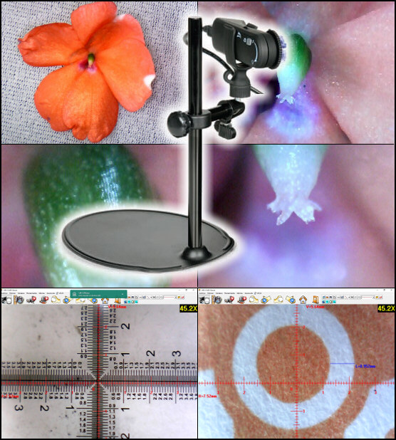 Cámara Lupa / Microscopio digital con salida USB PS-2343