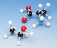 Conjuntos básicos de modelos moleculares