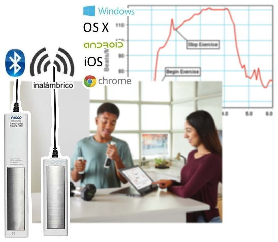 Sensor inalámbrico de ritmo cardíaco con manoplas PS-3206